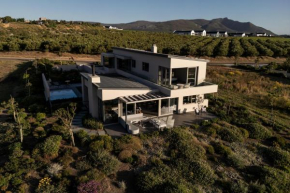 Benguela Cove - Milk and Honey